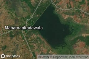 Mahamankadawala Wewa