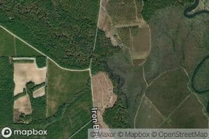 Pelt Creek