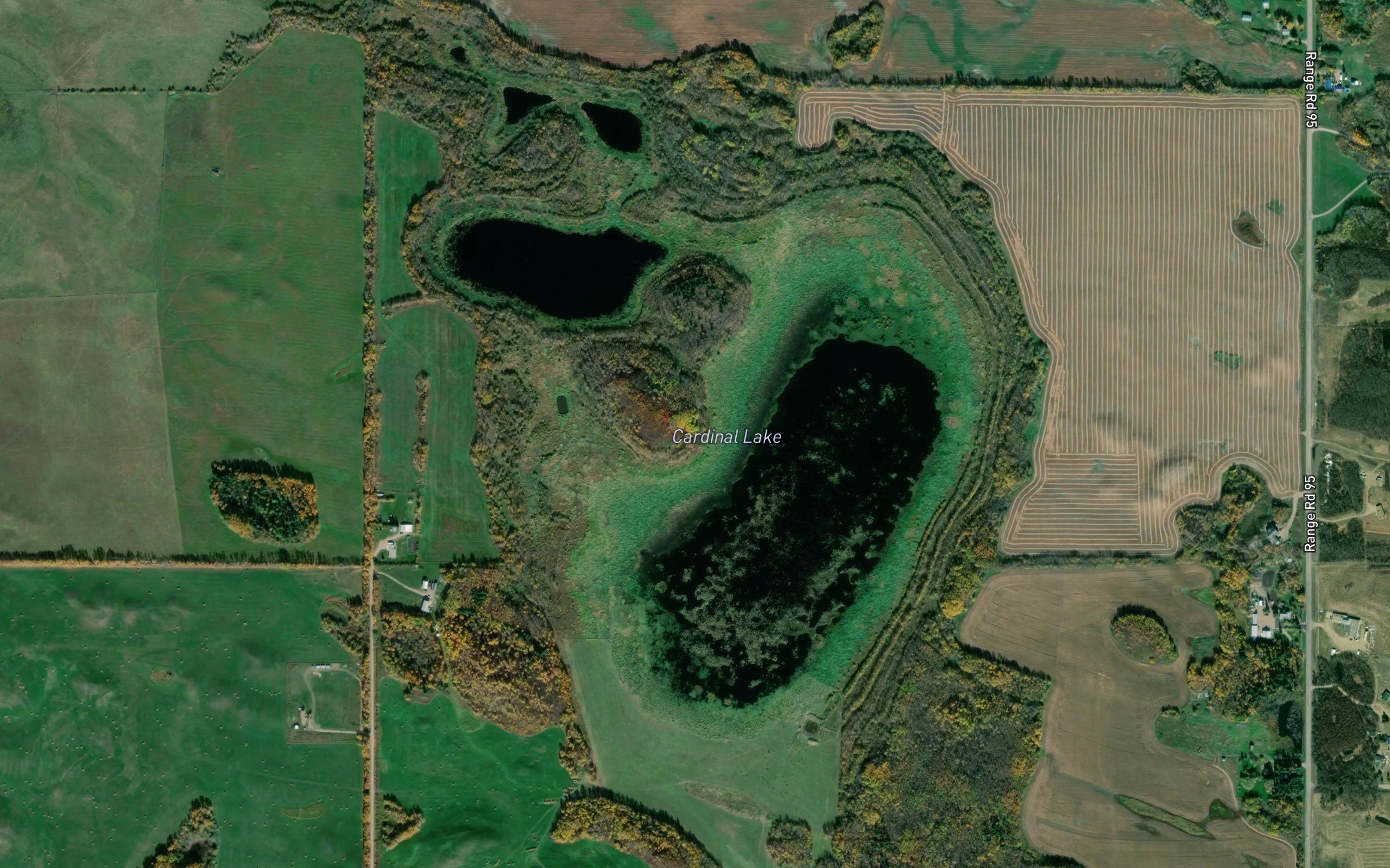 Cardinal Lake
