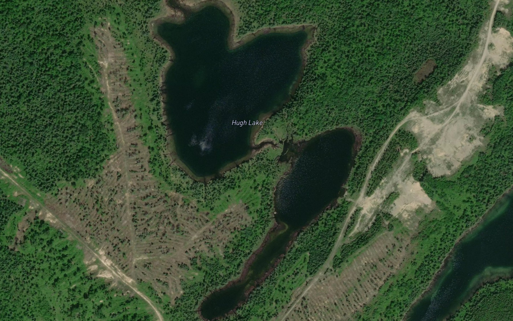 Satellite map of the Hugh Lake
