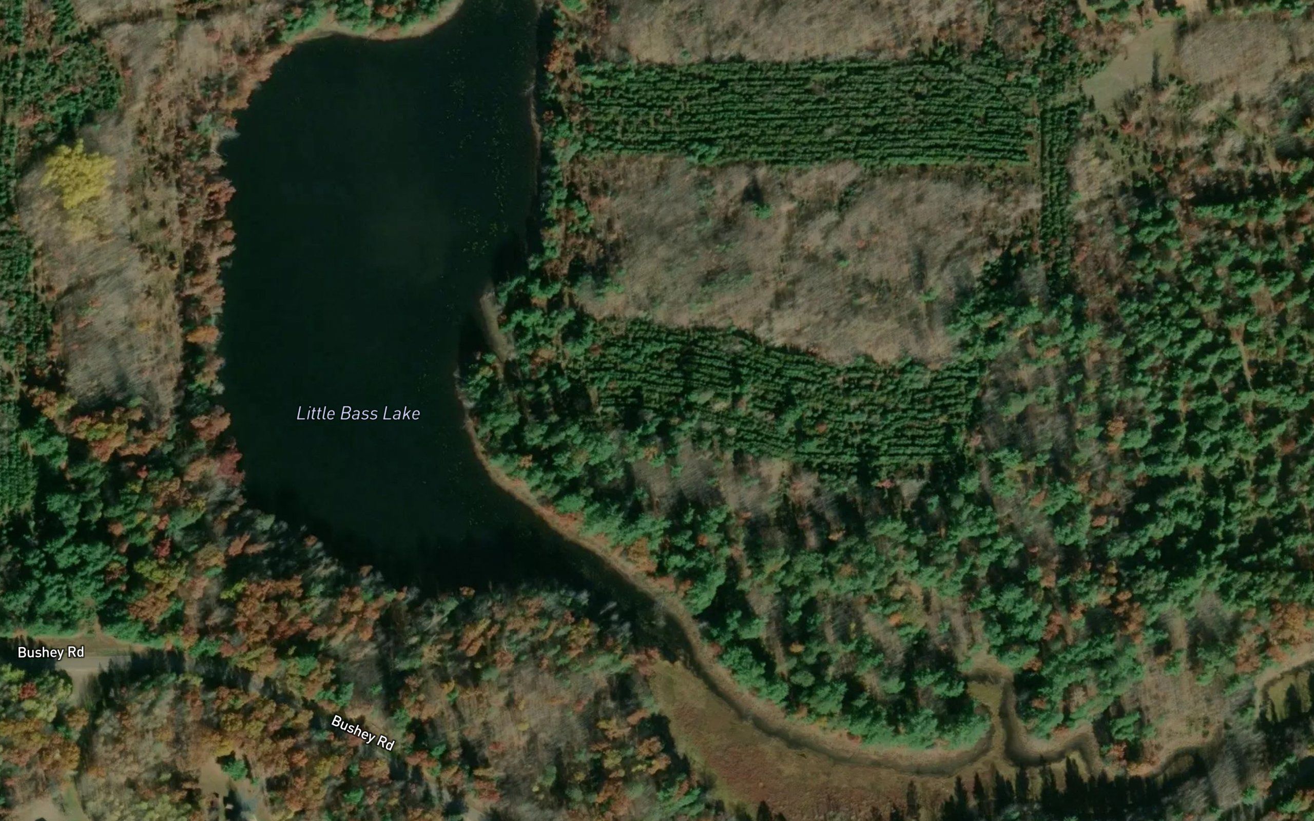 Little Bass Lake