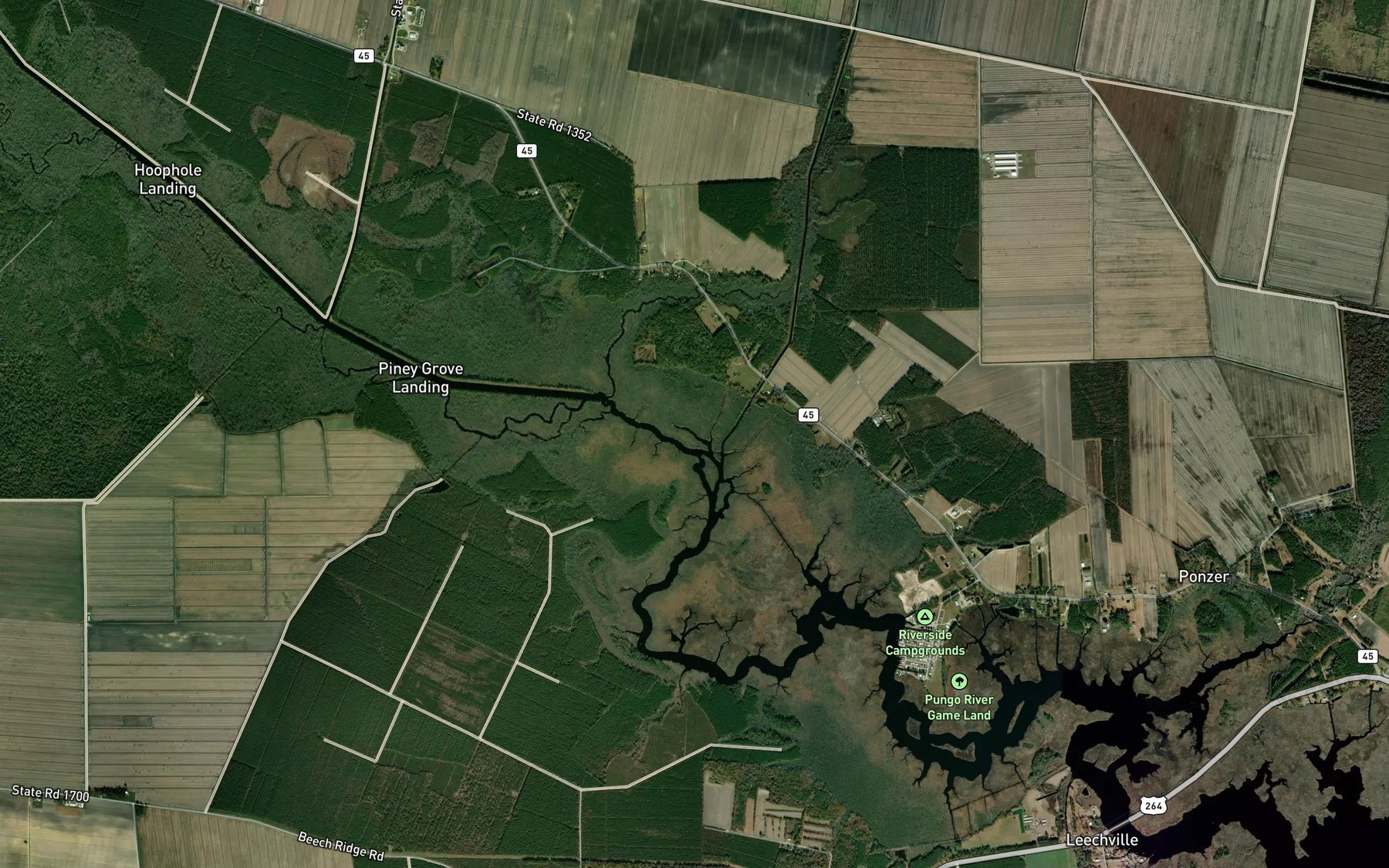 Satellite map of the Cow Gut