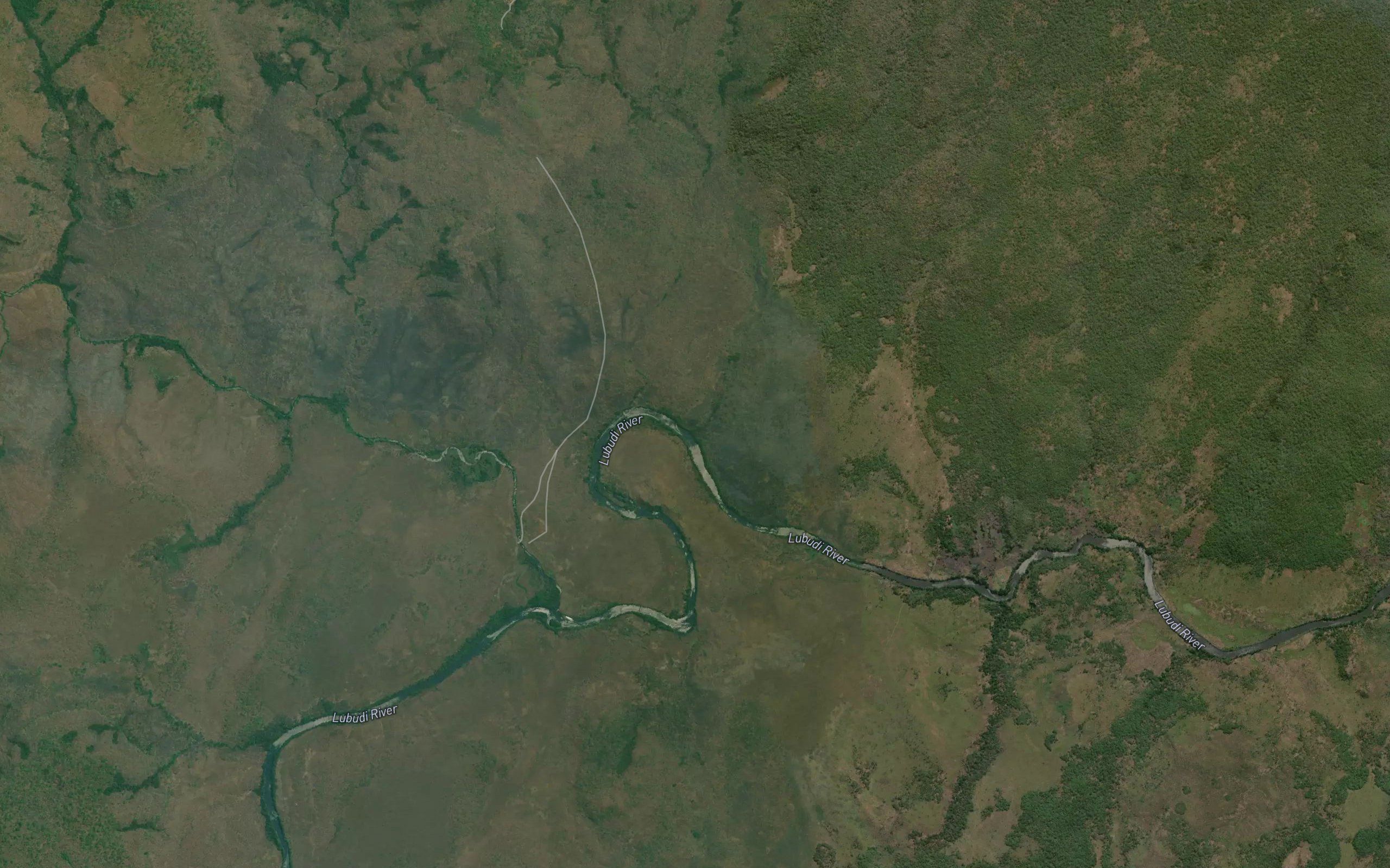 Kamukonzo