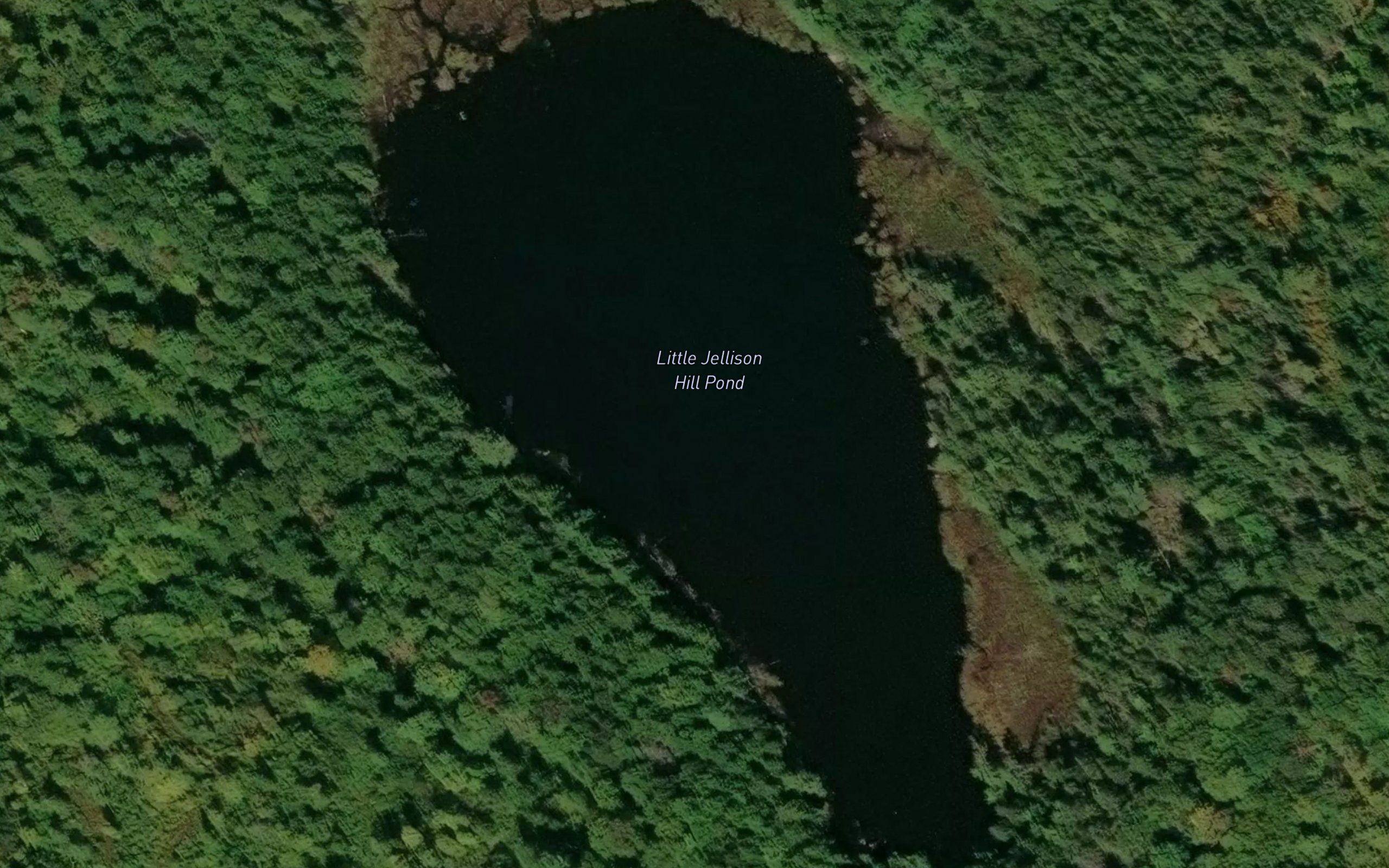 Little Jellison Hill Pond
