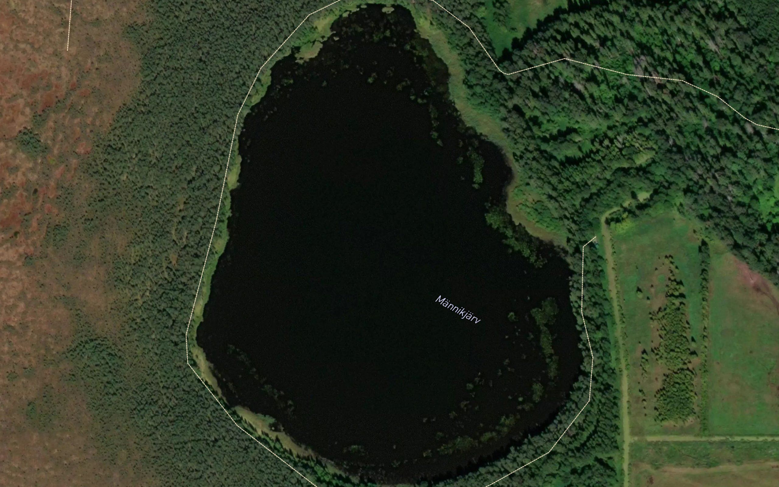 Mannikjarv