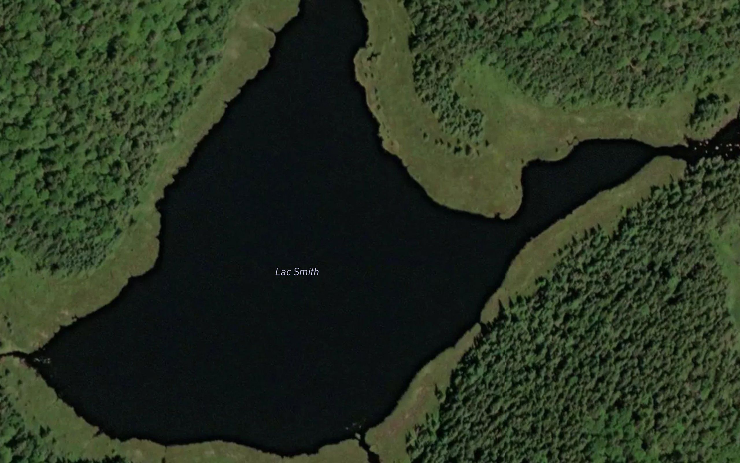 Lac Smith