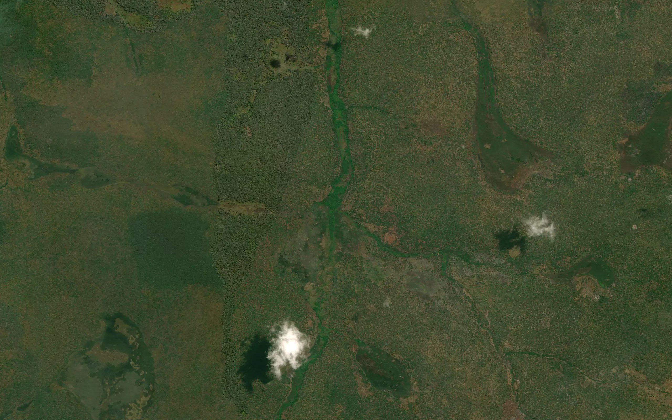 Mwashimba