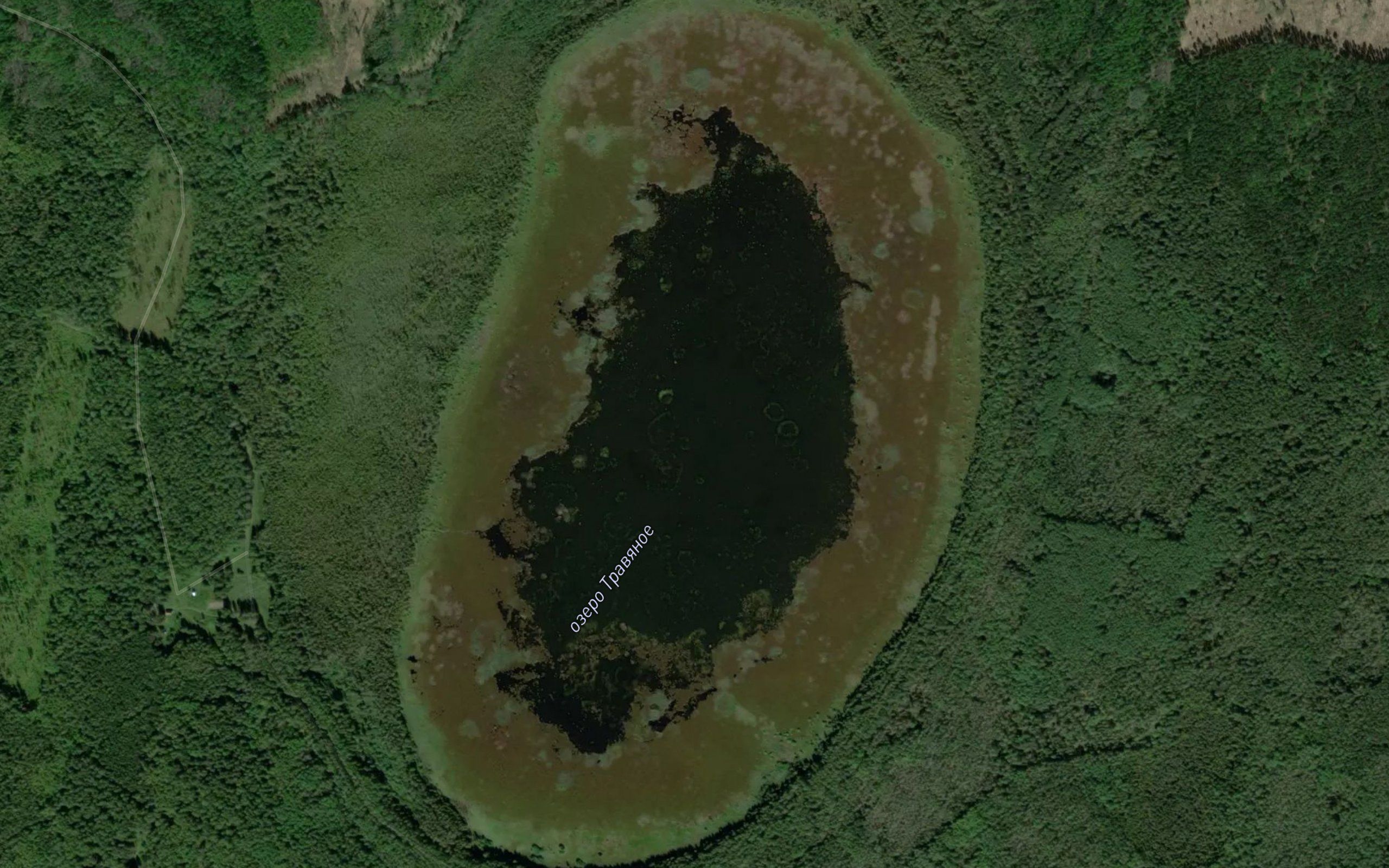 Ozero Travyanoye