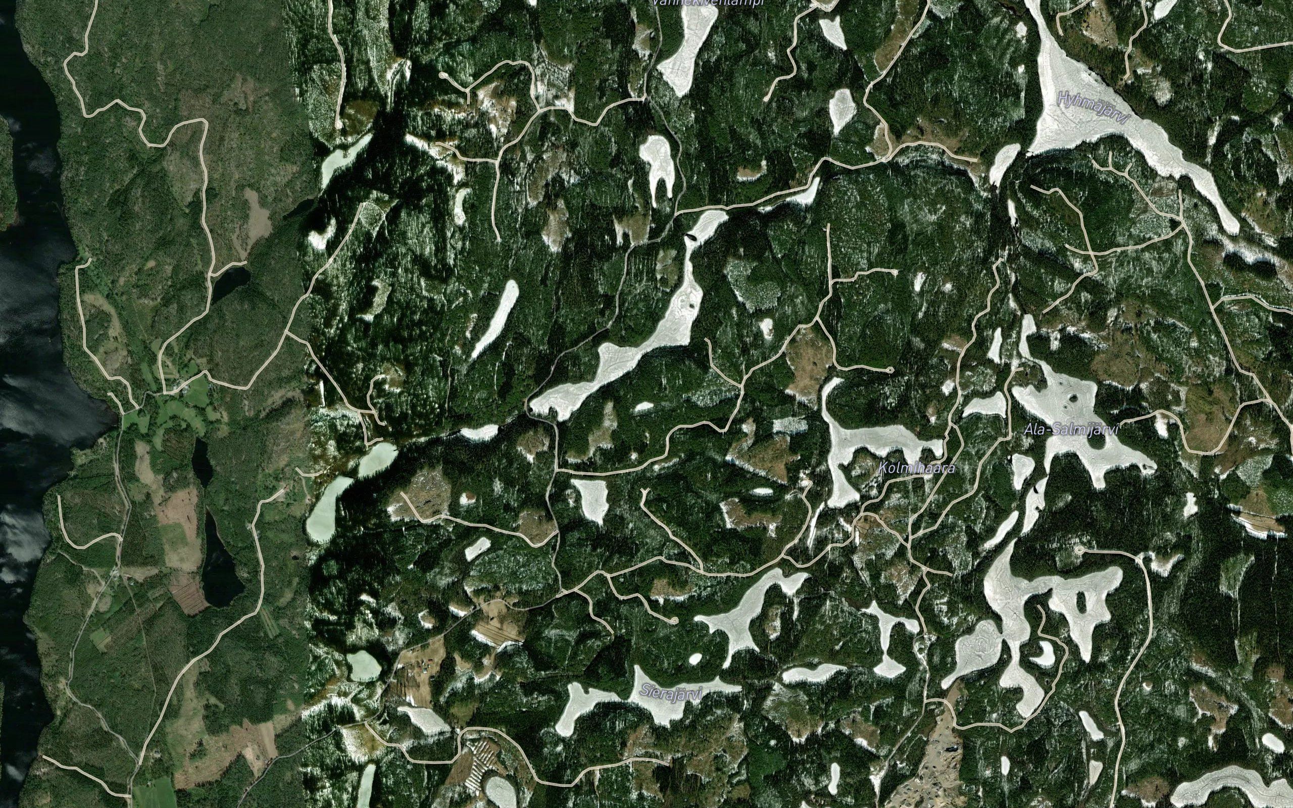 Hirvilampi