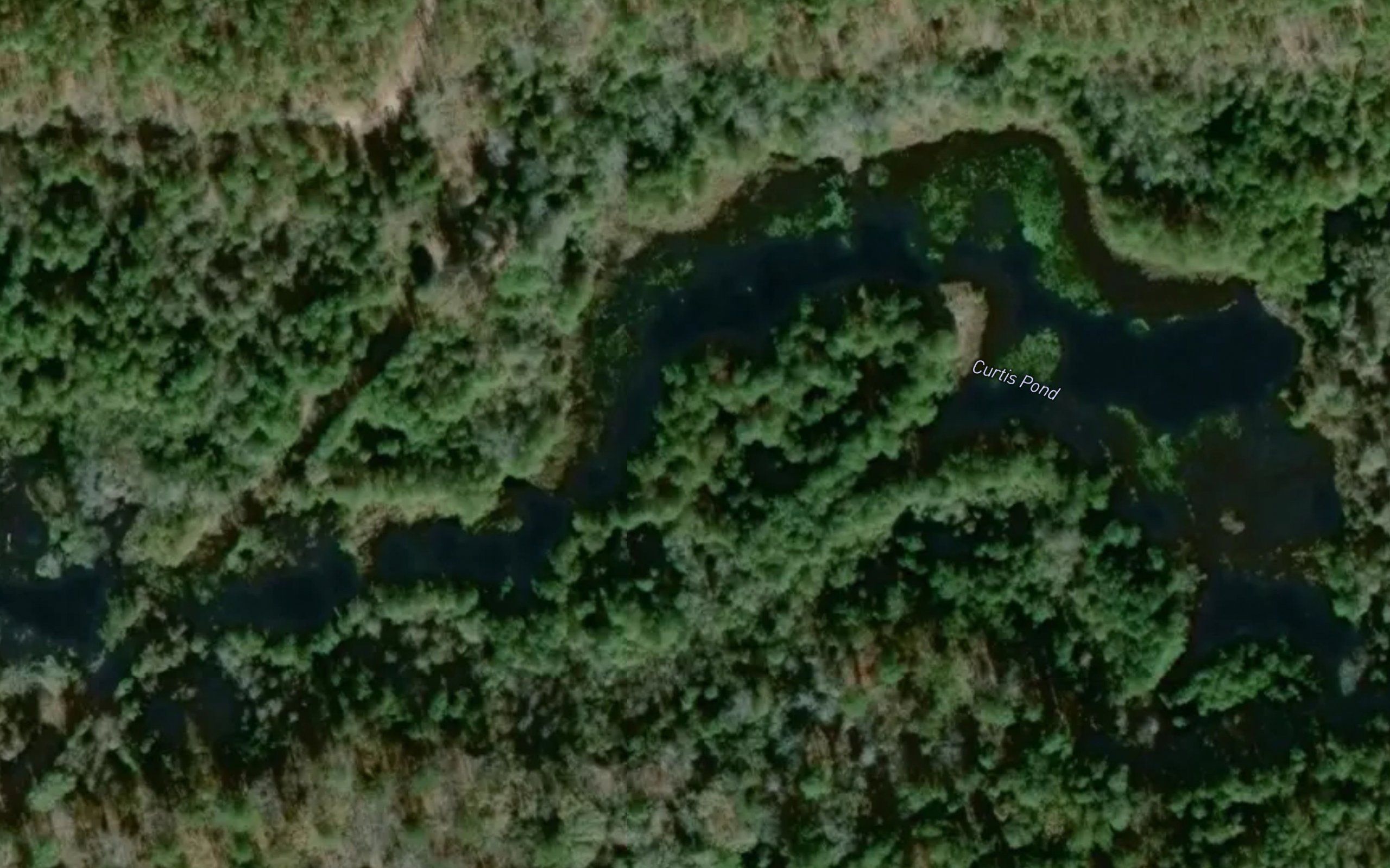 Curtis Pond
