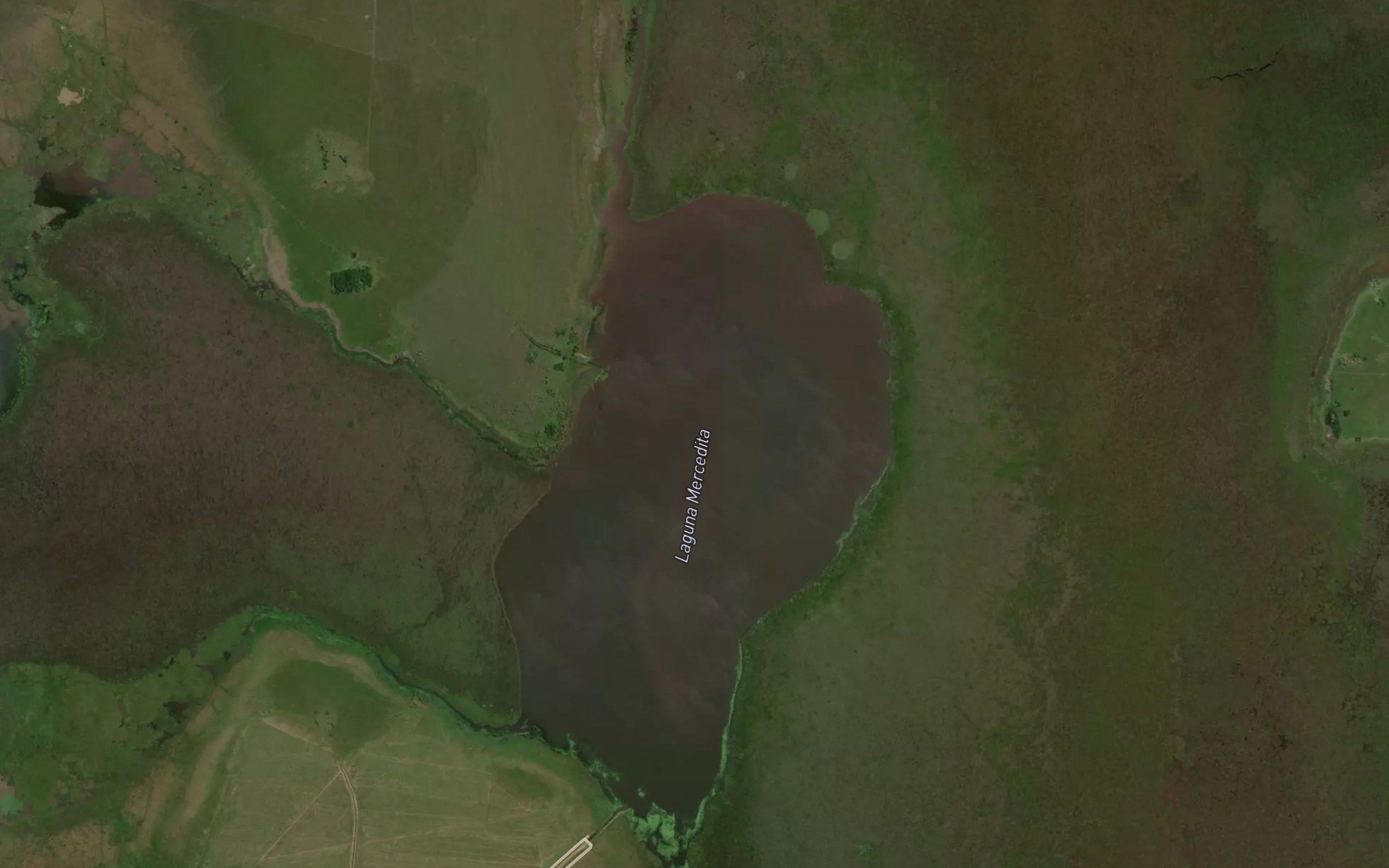 Laguna Mercedita