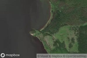 Golaya