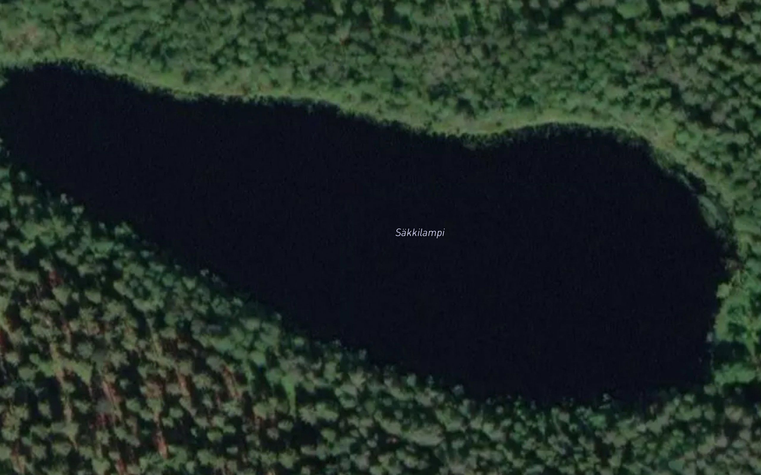 Sakkilampi