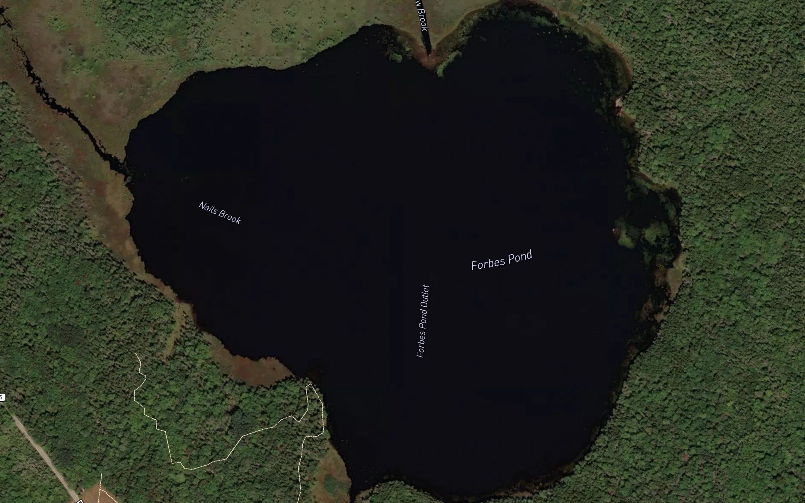 Forbes Pond
