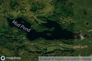 Mud Pond