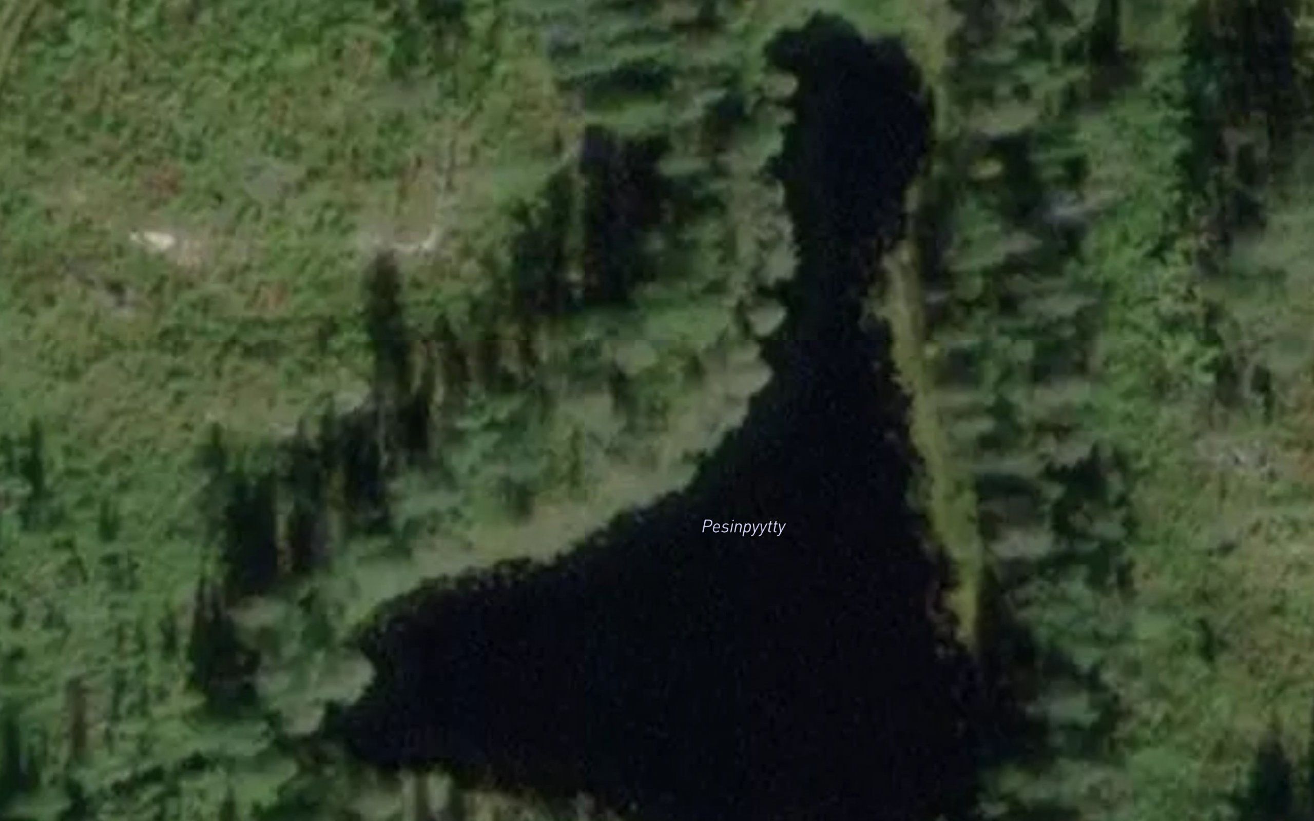 Pesinpytty