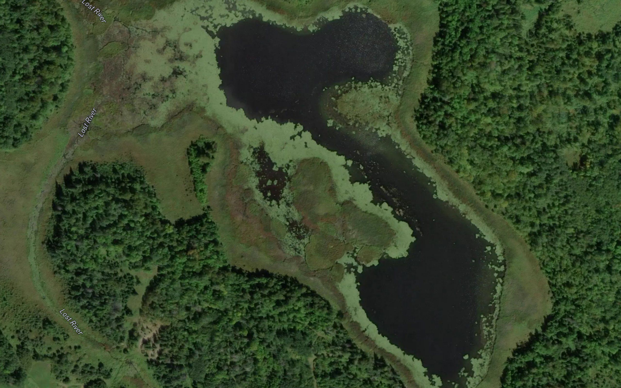 Willborg Lake