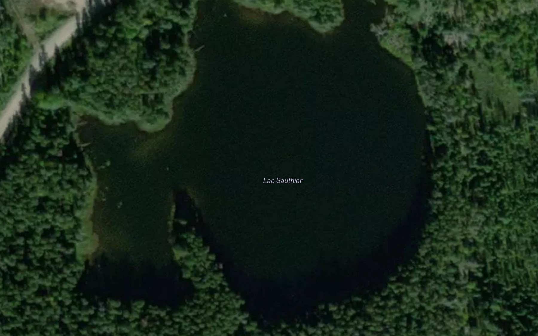 Satellite map of the Lac Gauthier