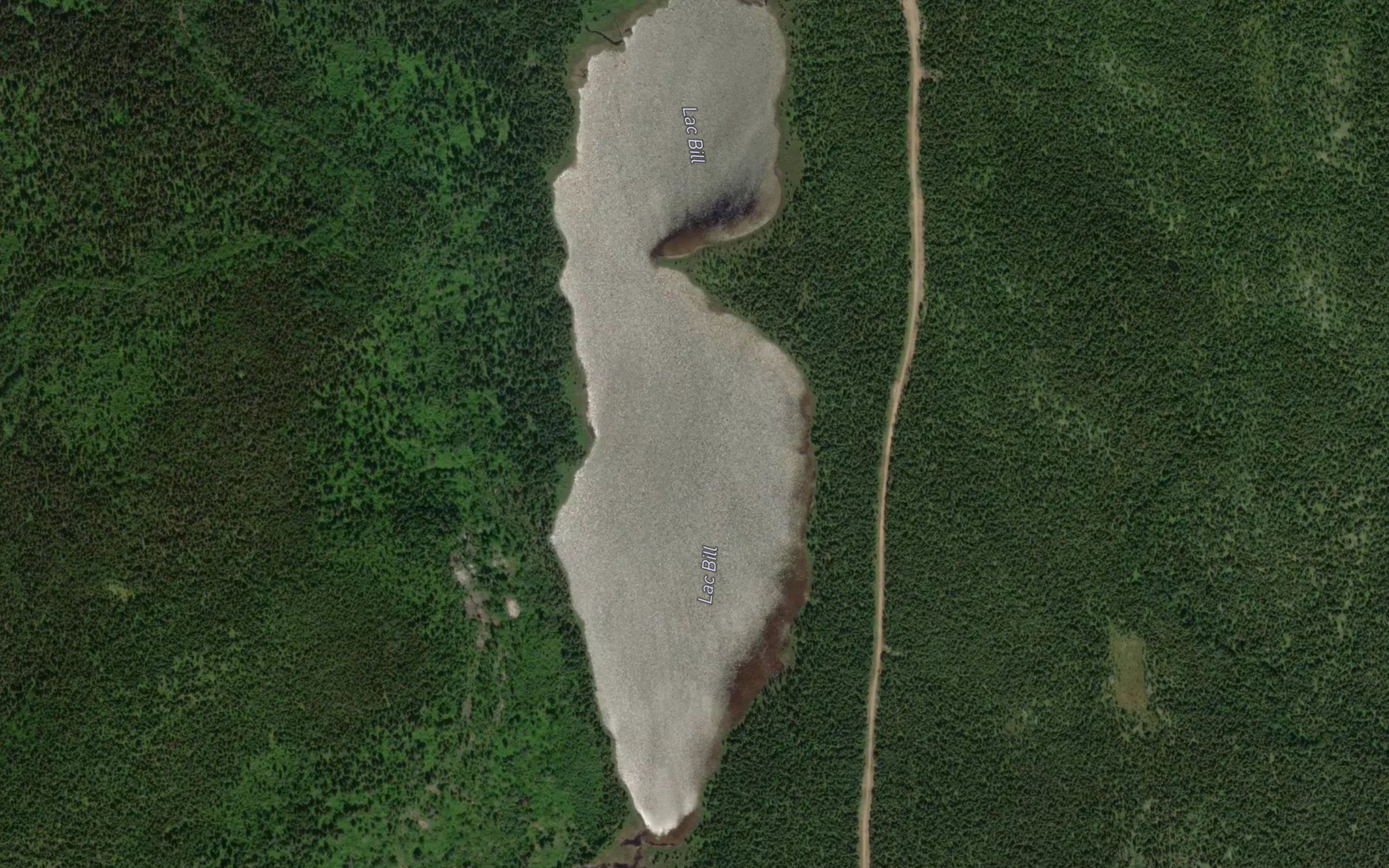 Lac Bill
