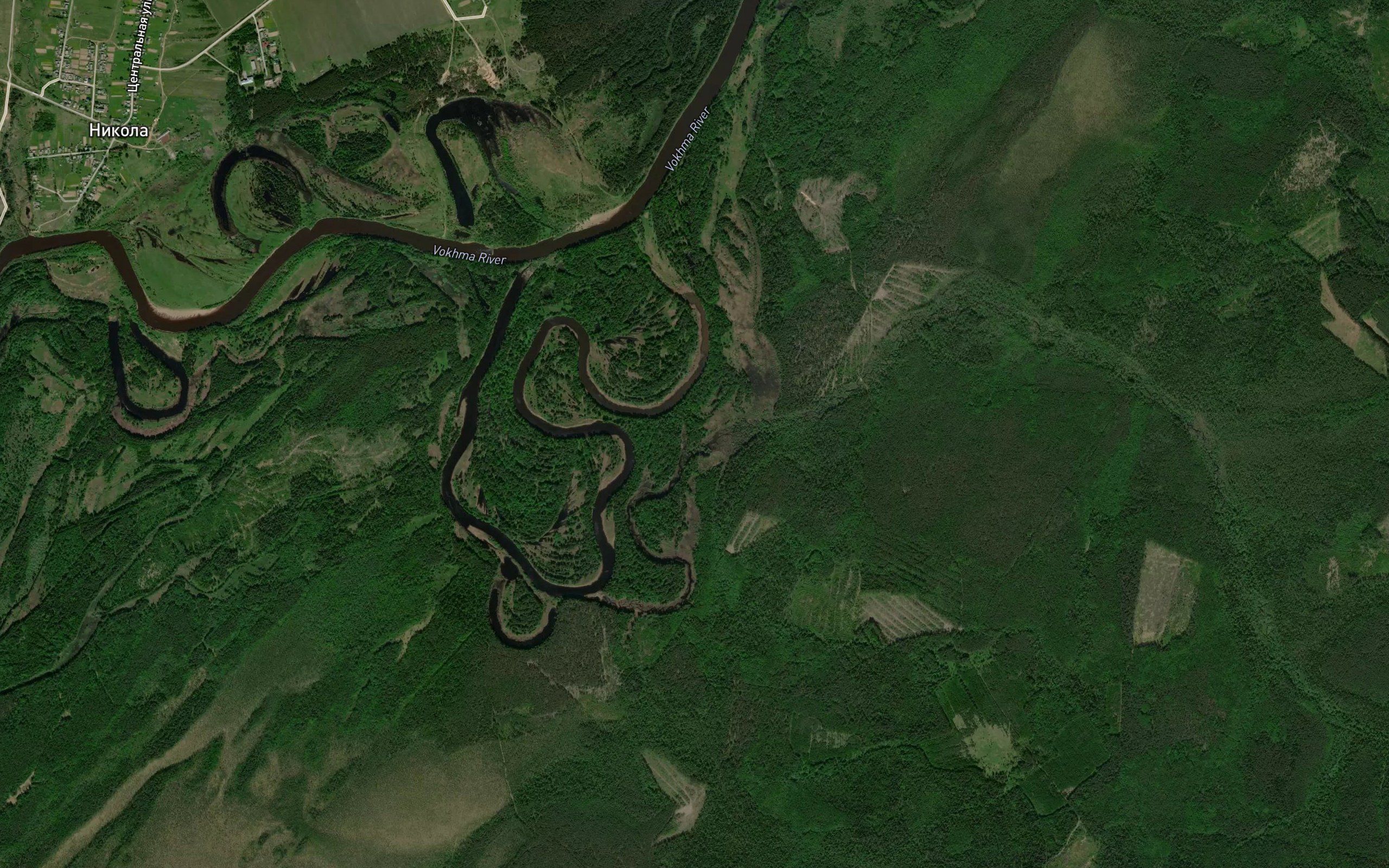 Pachkovitsa