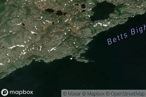 Green Cove