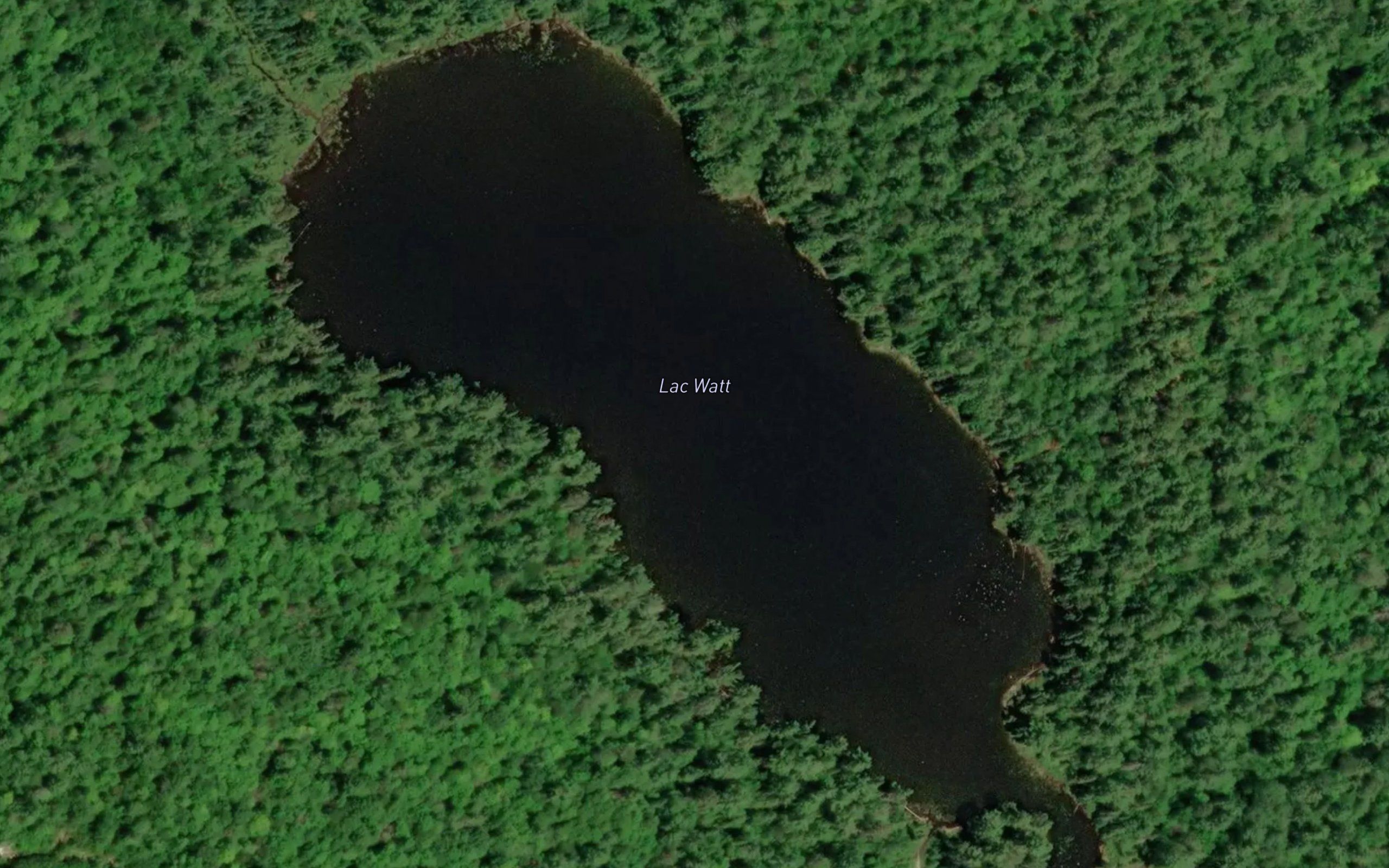 Lac Watt