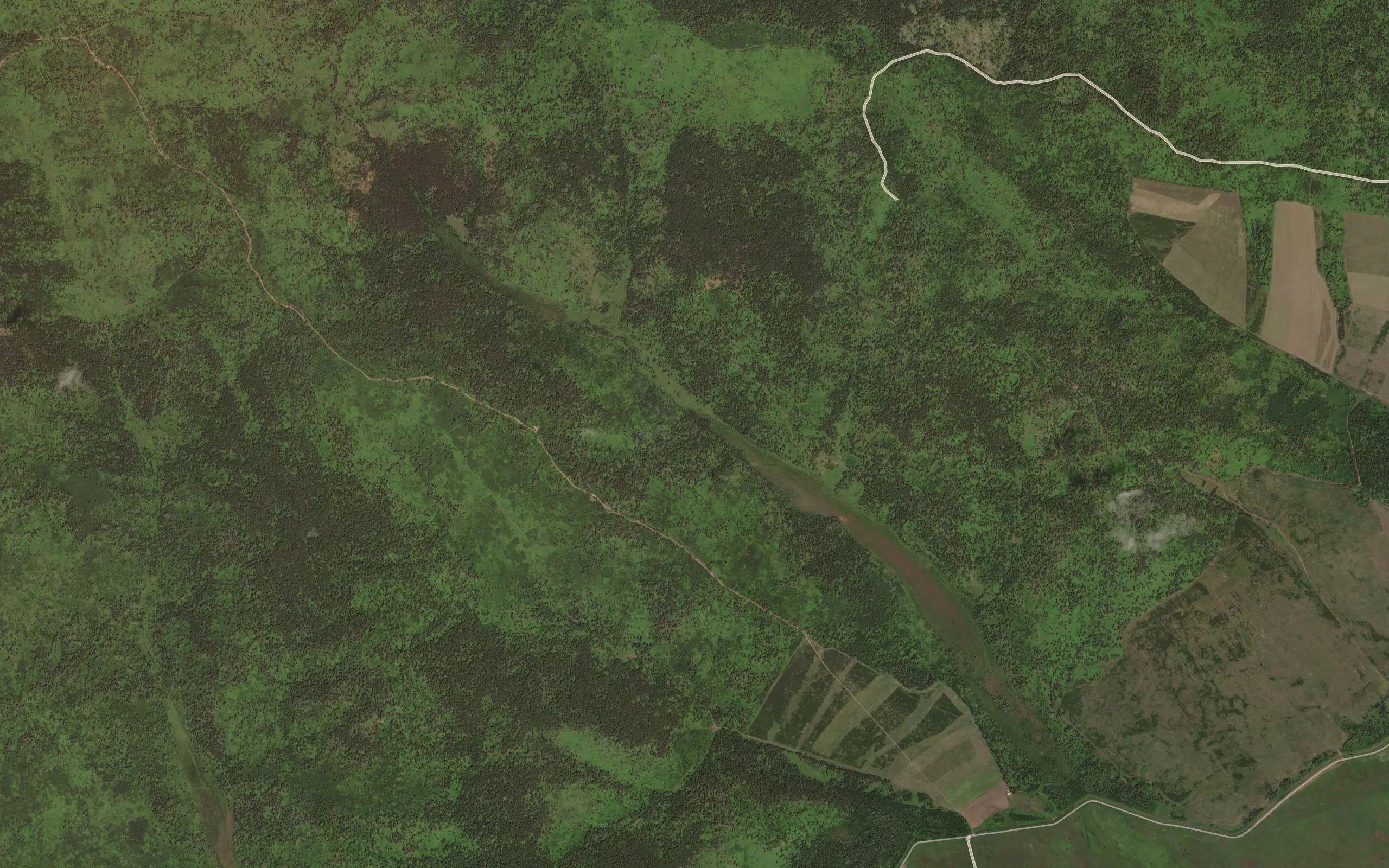 Pad' Okuneyka