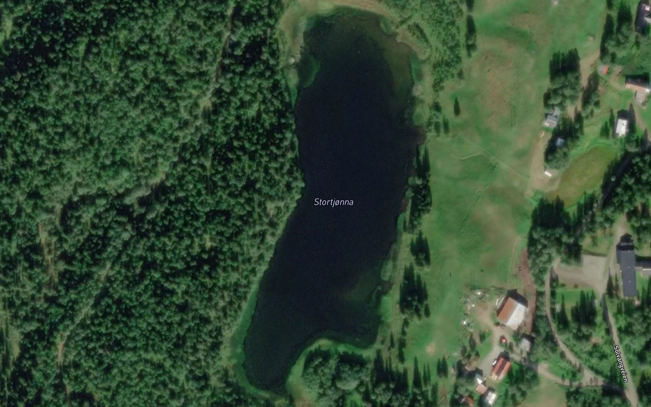 Stortjonna