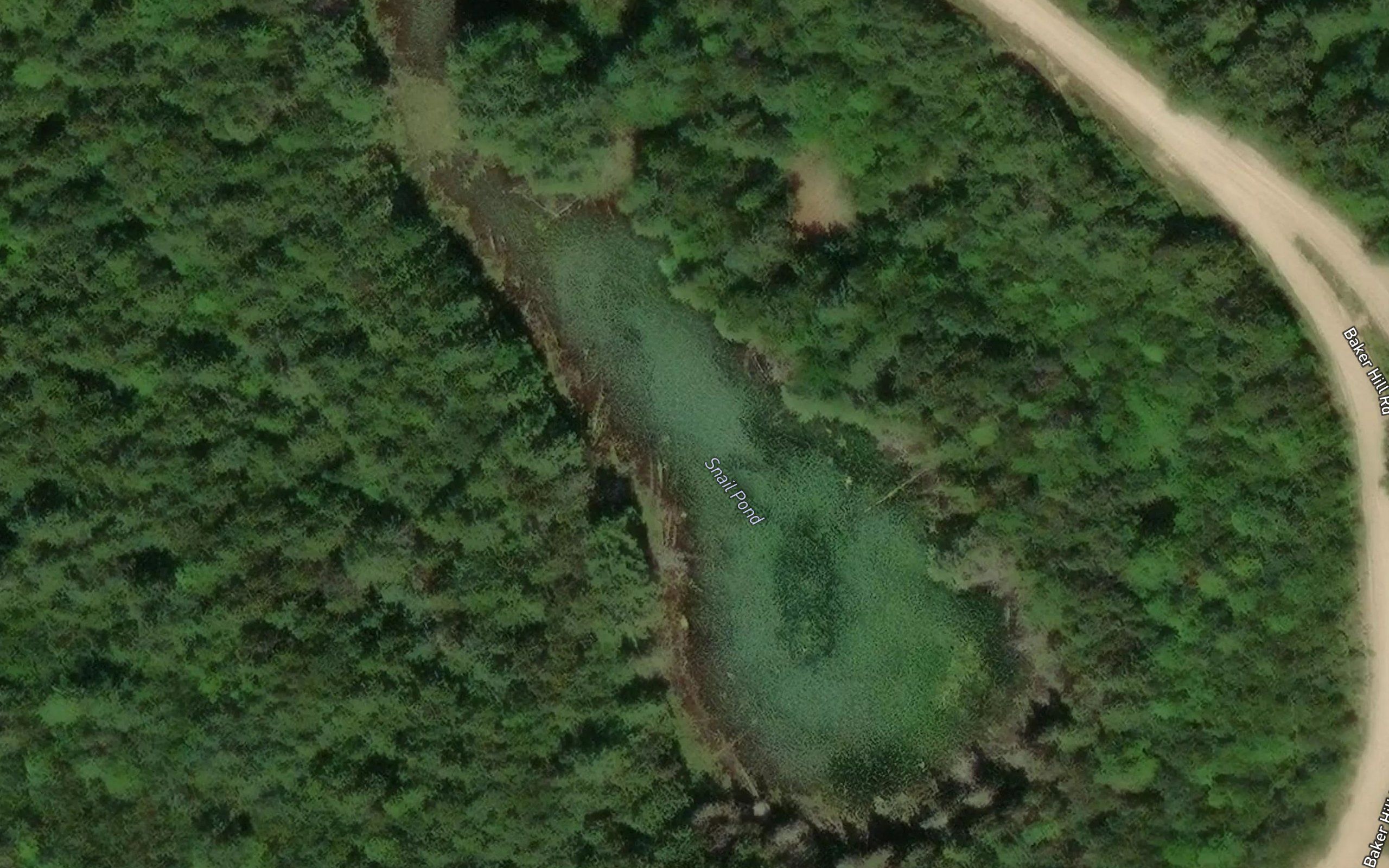 Snail Pond