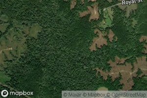 Belle Chaney Springs