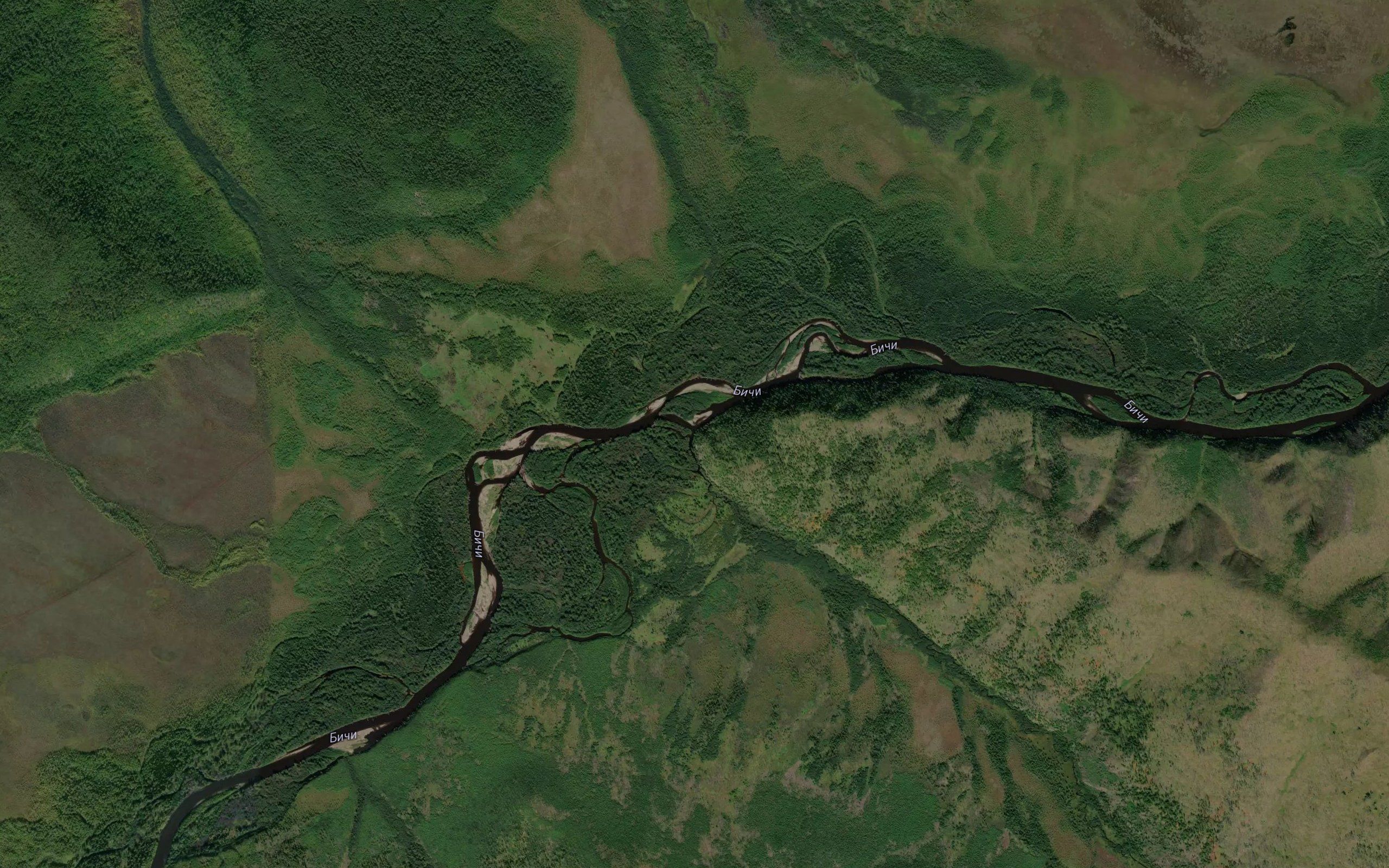 Tikhiy