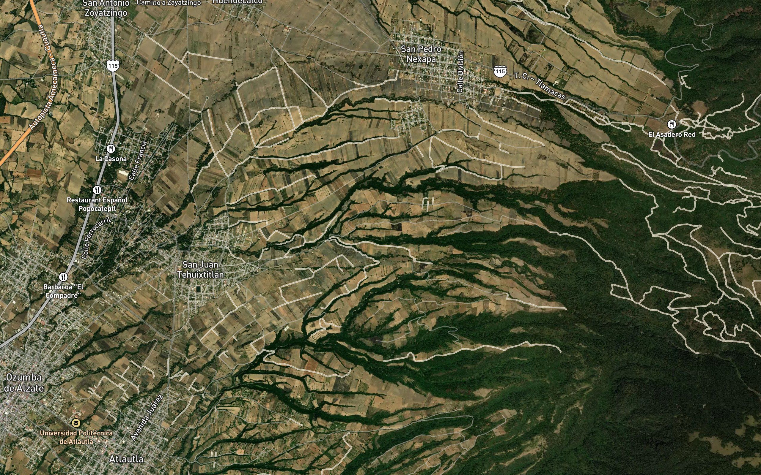 Estafiatepec