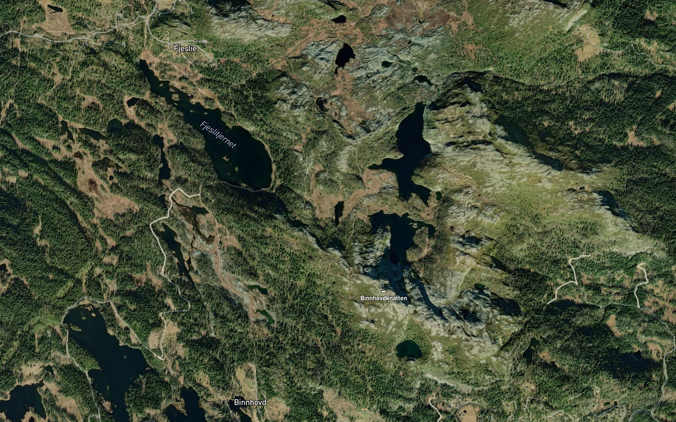 Kaelvetjednputten