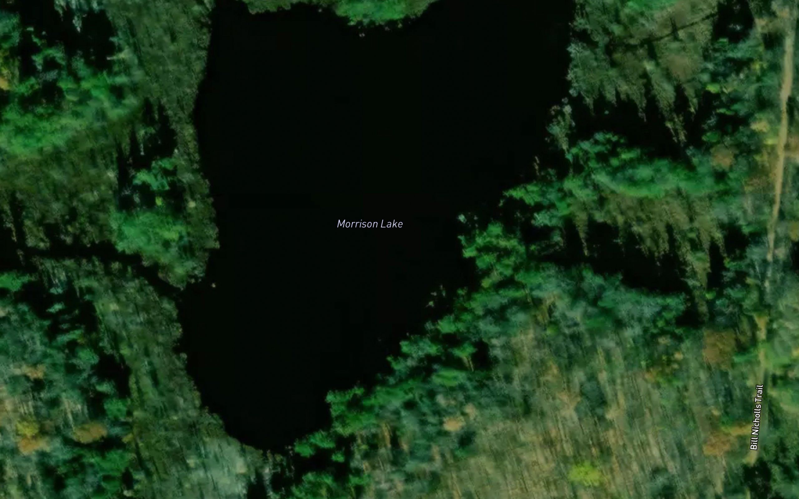 Morrison Lake