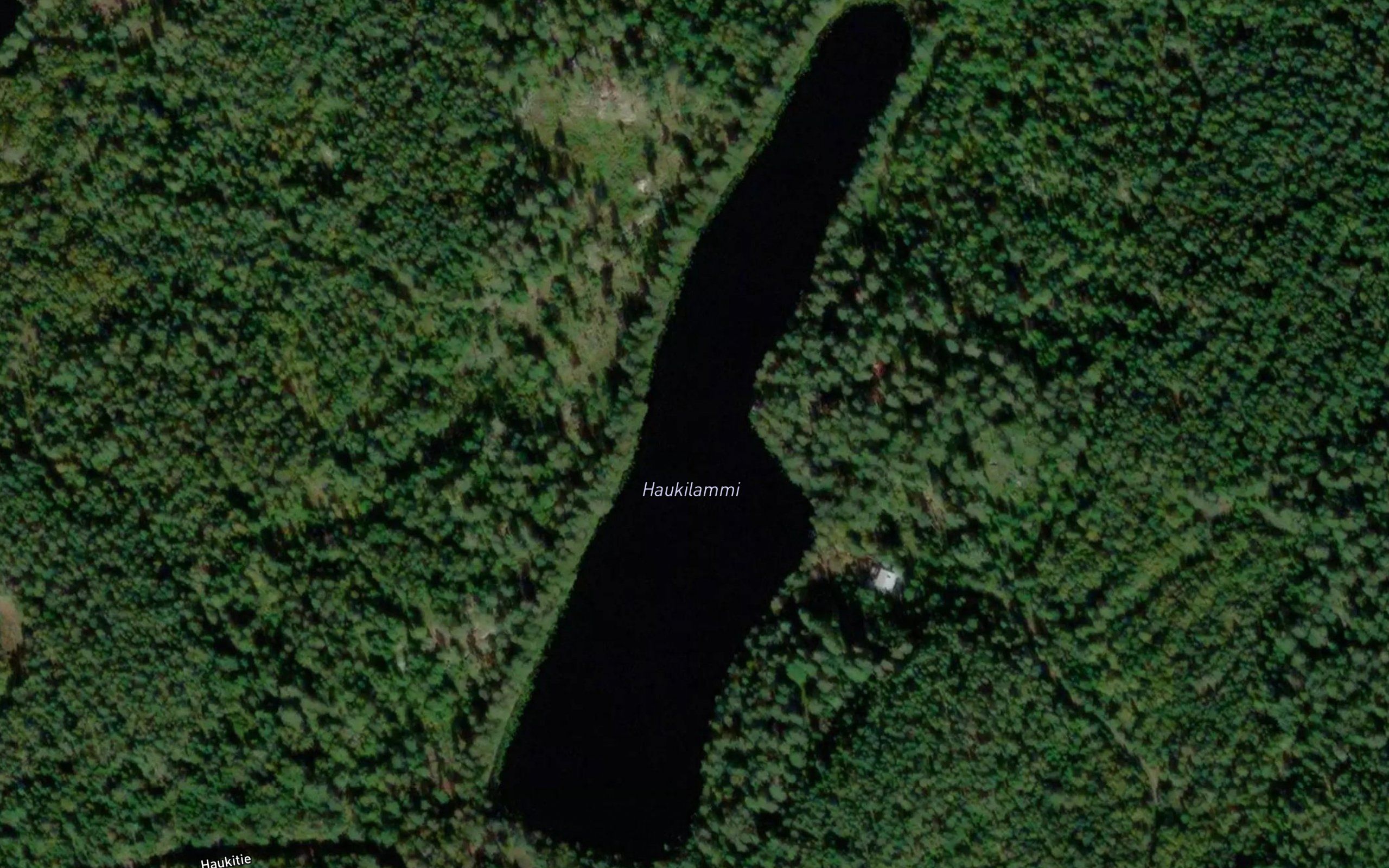 Haukilammi
