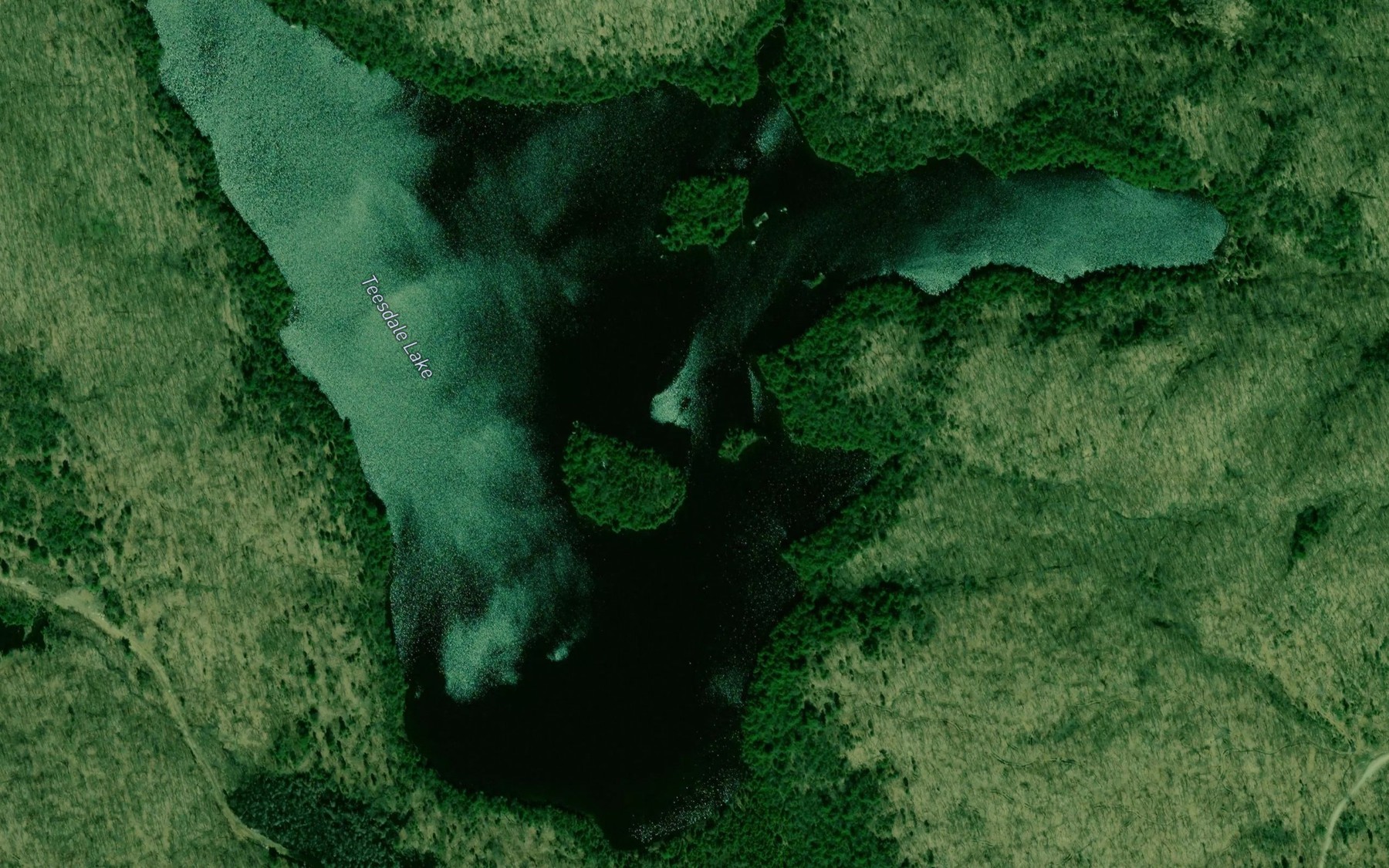 Satellite map of the Teesdale Lake