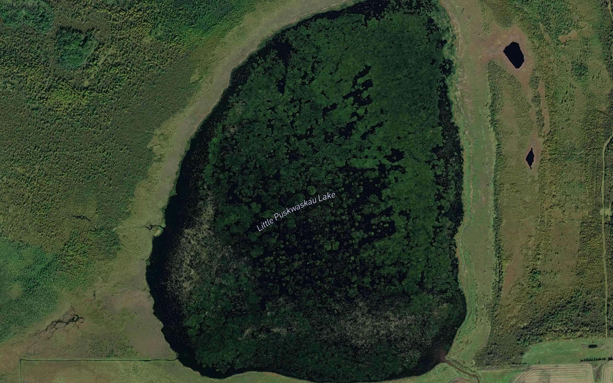 Little Puskwaskau Lake