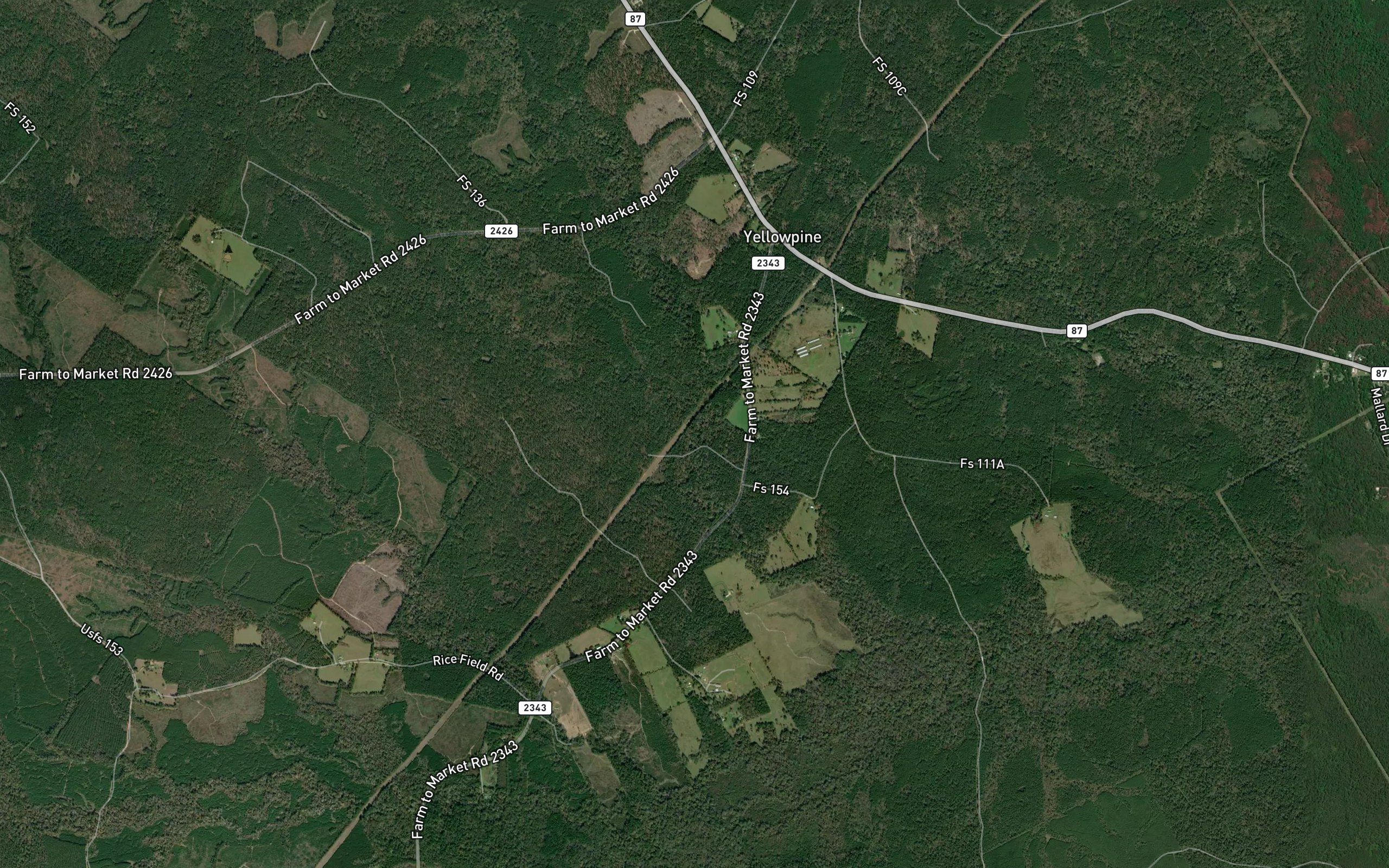 Cooper Branch