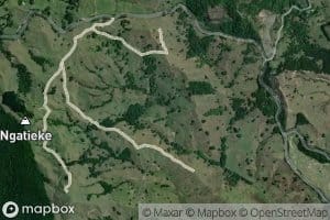 Kopopuwhakapeka Stream