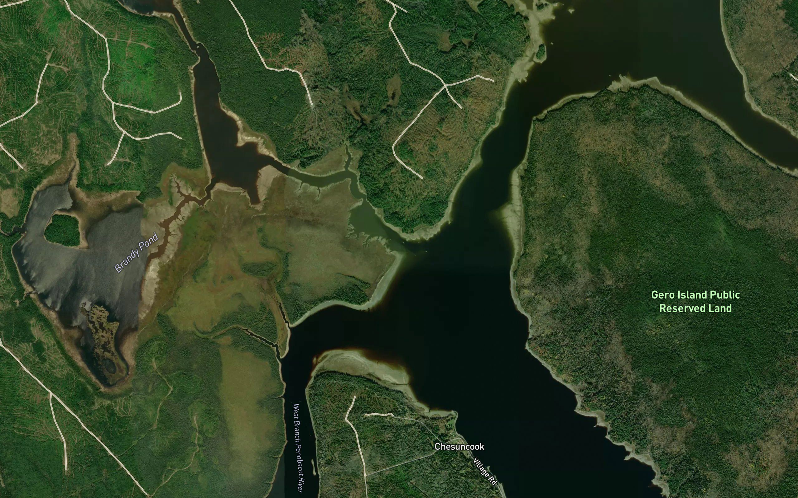 Caucomgomoc Stream