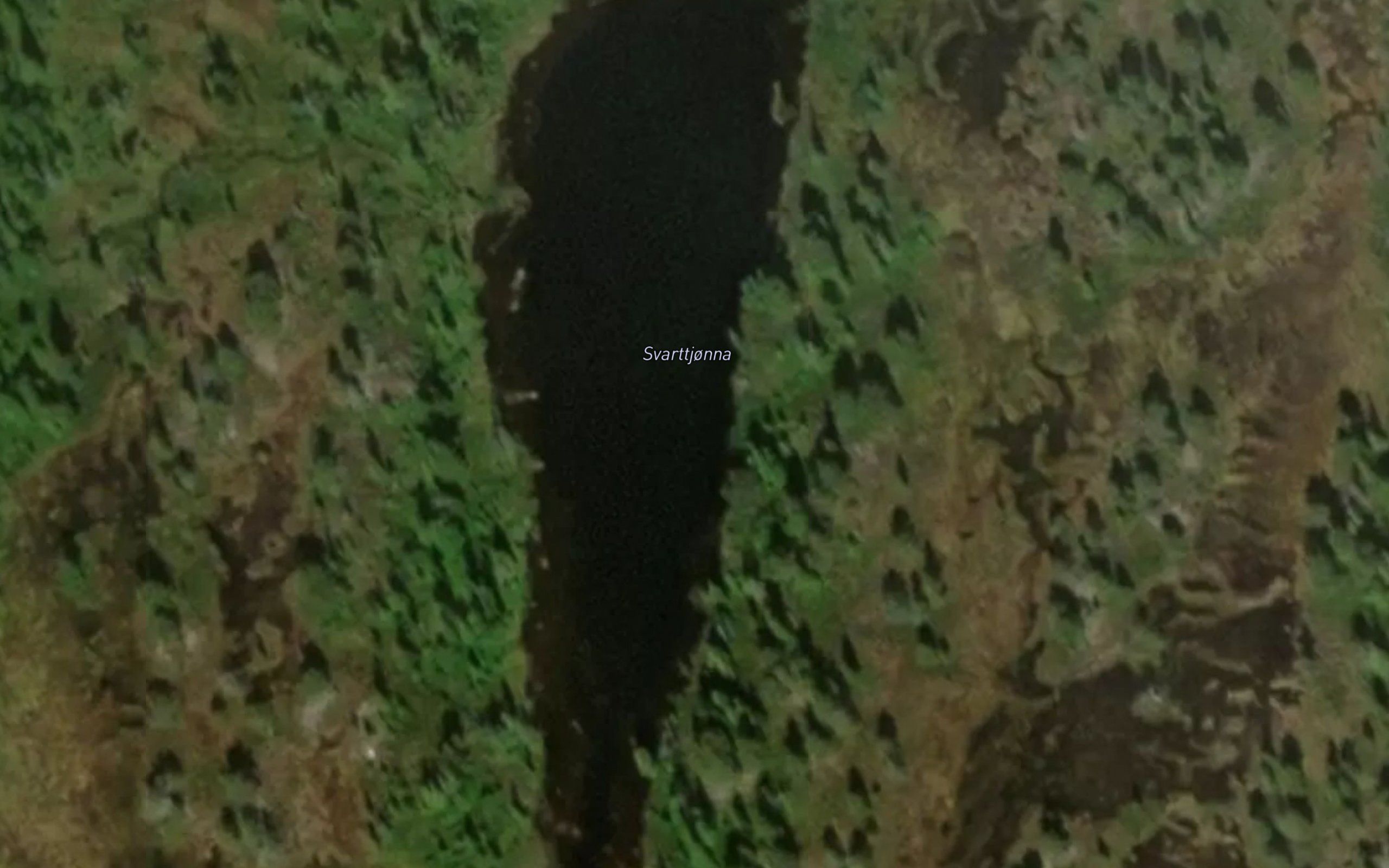Svarttjorna