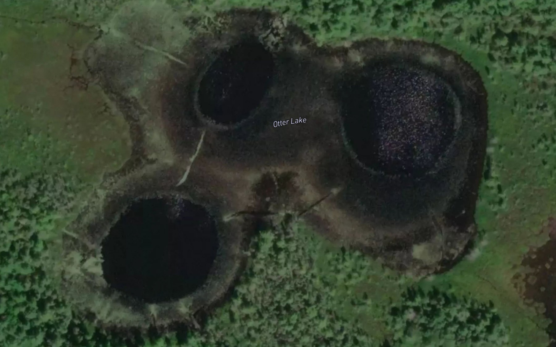 Satellite map of the Otter Lake