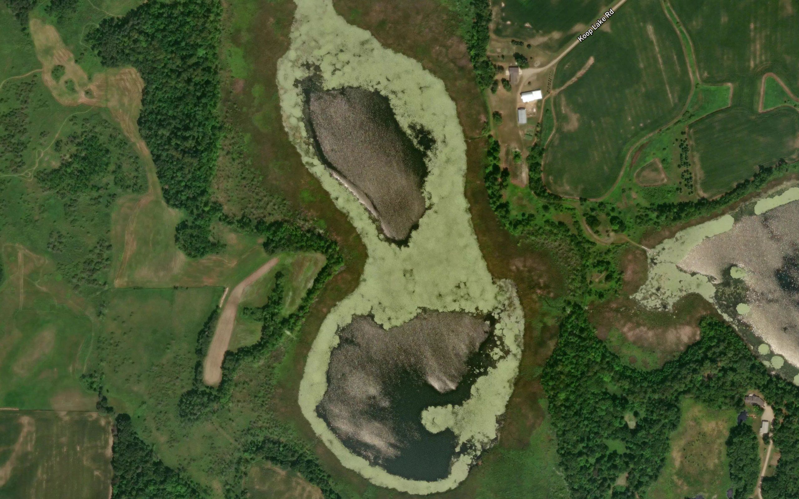 Little Rice Lake