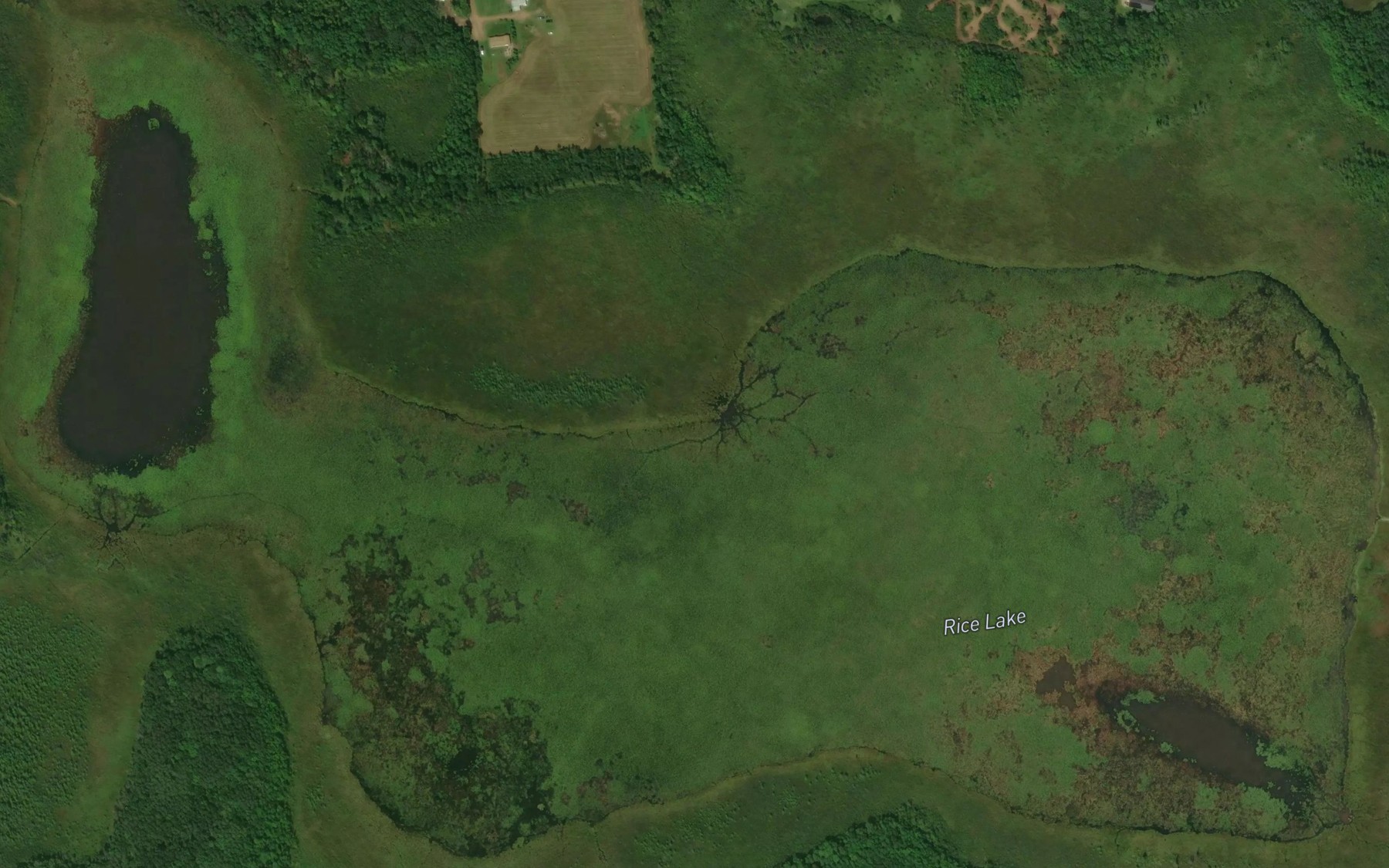 Satellite map of the Rice Lake