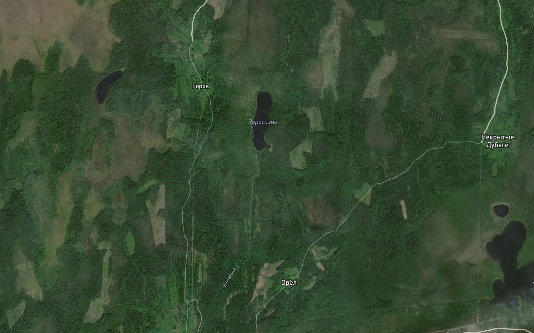 Satellite map of the Chechevinka