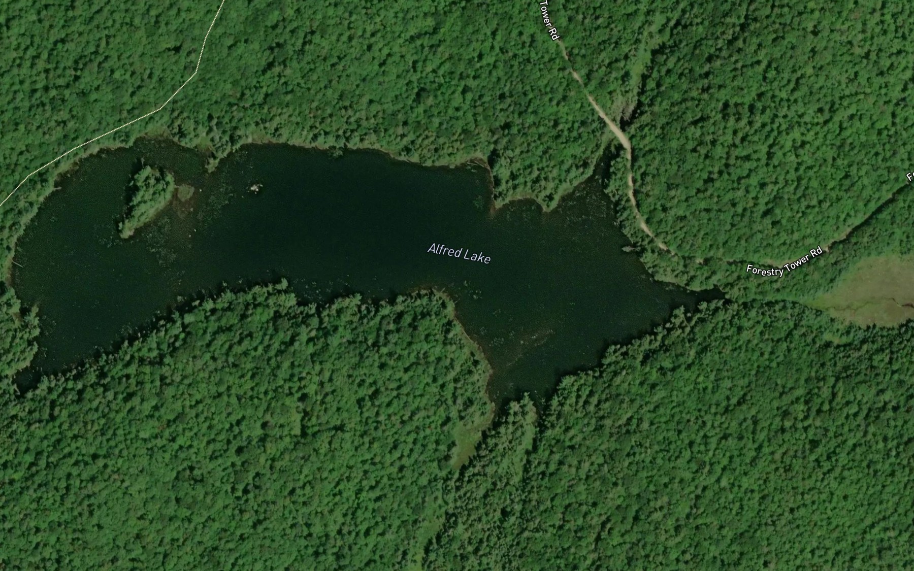 Satellite map of the Alfred Lake