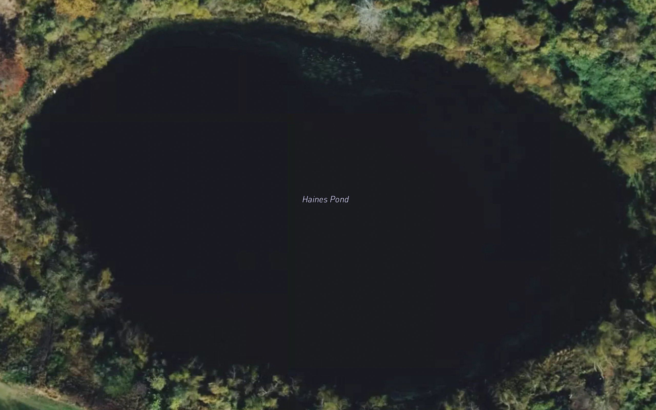 Haines Pond