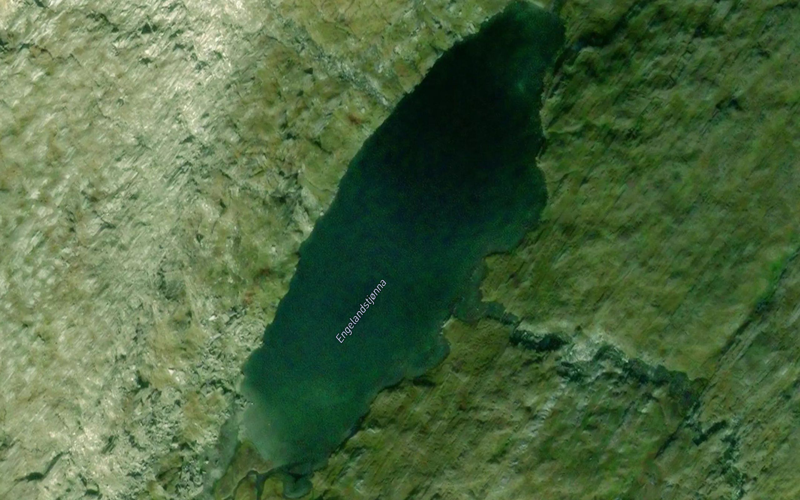 Engelandstjorna
