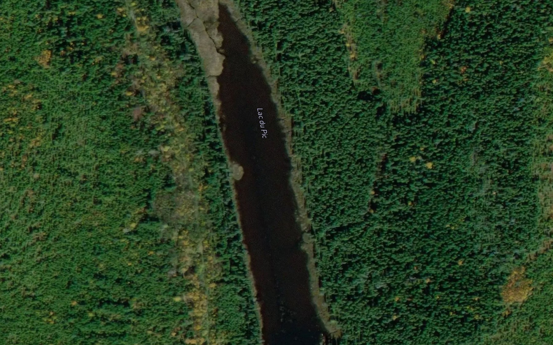Satellite map of the Lac du Pic