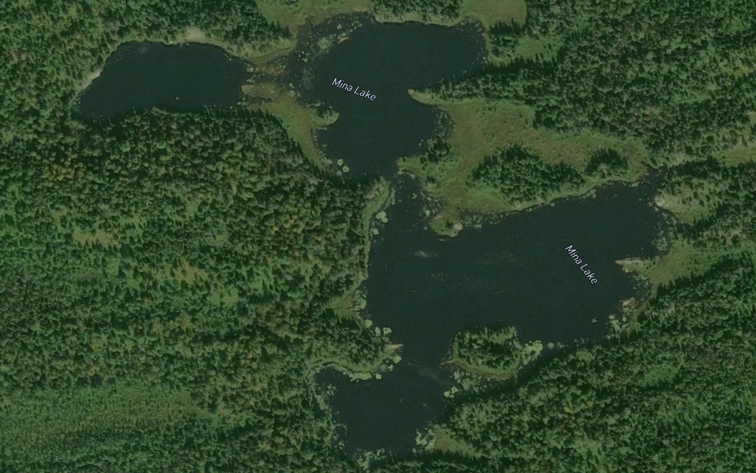 Mina Lake